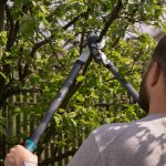 Изображение товара 983935