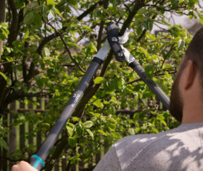 Изображение товара 983935