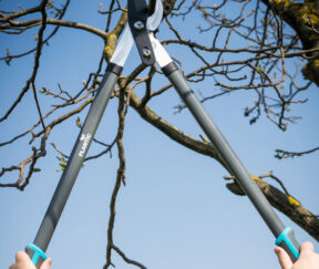 Изображение товара 983935