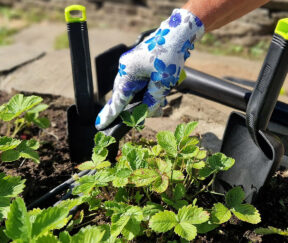 Изображение товара 1054587