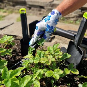 Изображение товара 1054587