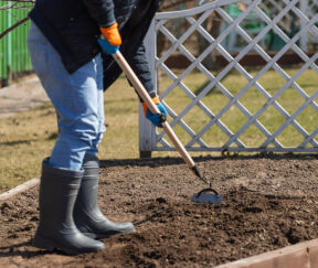 Изображение товара 983726