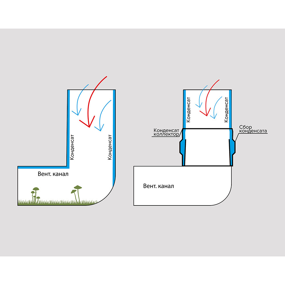 original-1000x1000-fit-2576.jpg Изображение товара 638551