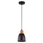Светильник подвесной Arte Lamp Eurica E27 60 Вт 2 кв.м (A4248SP-1BK)