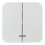 Выключатель Systeme Electric Blanca двухклавишный накладной алюминий с подсветкой (BLNVA105113)