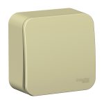 Выключатель Systeme Electric Blanca одноклавишный накладной бежевый (BLNVA101017)