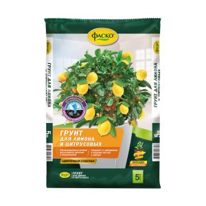 Изображение товара 1012389