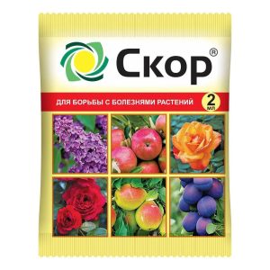 Изображение товара 1052383