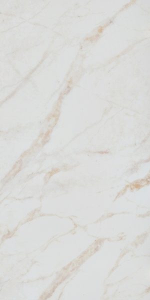 Изображение товара 1081298